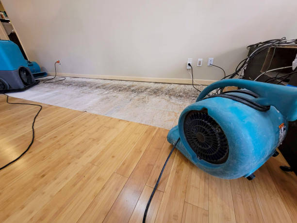 Professional Water Extraction technician working in Feeding Hills, MA